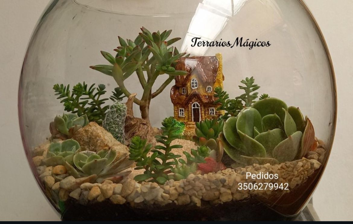 Terrarios Mágicos equipo